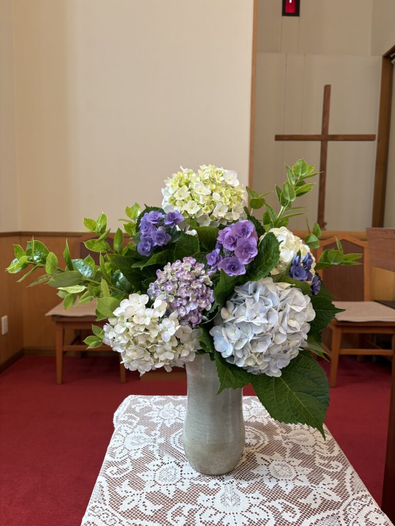 5,31花③