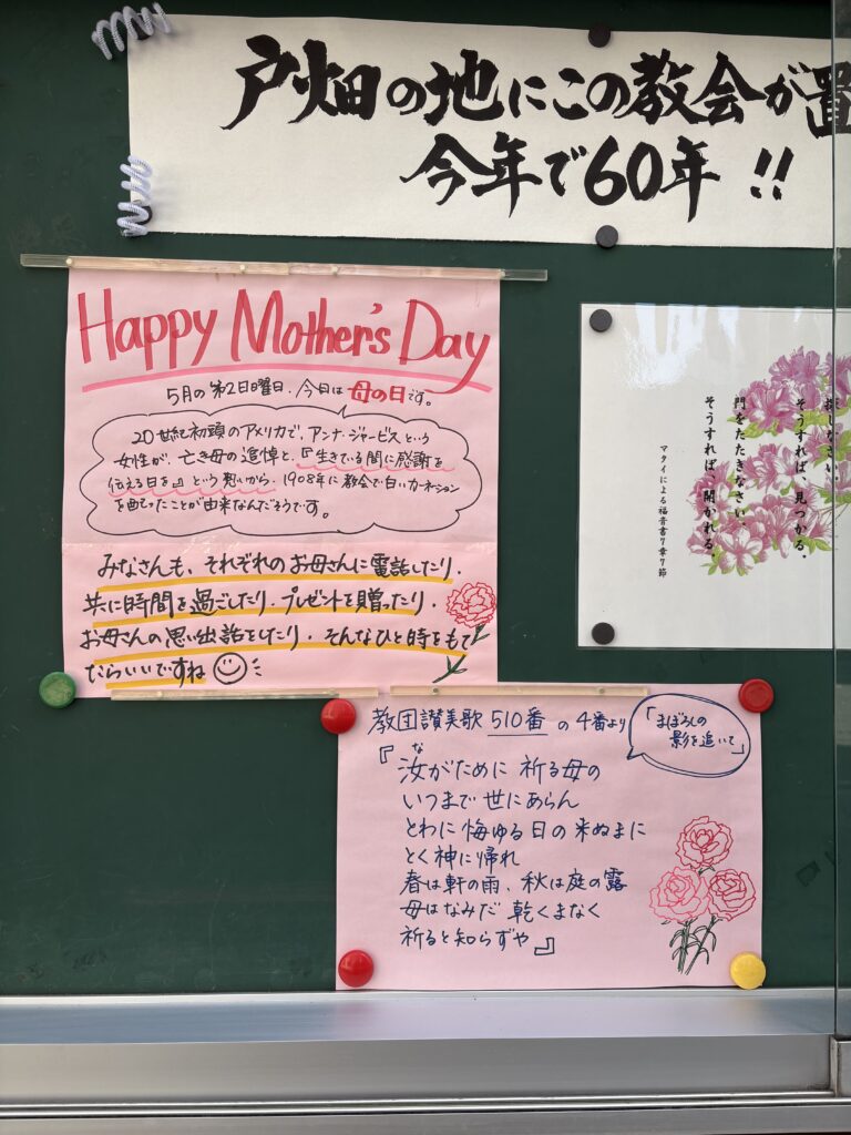 6月10日花