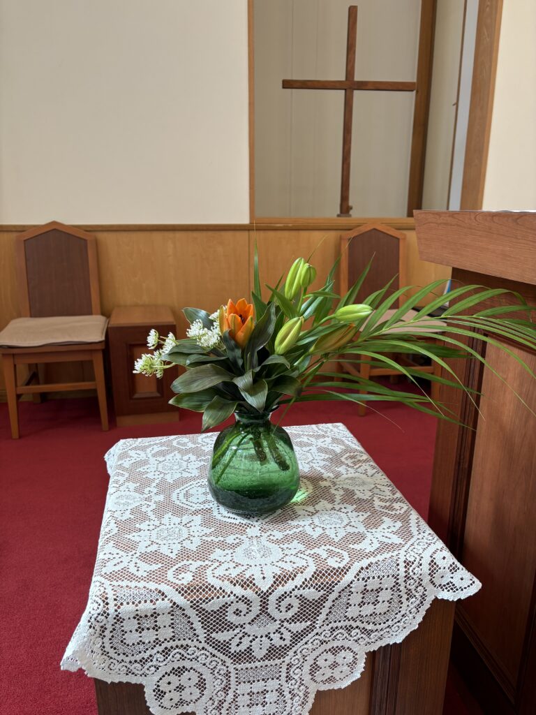 6月10日花③