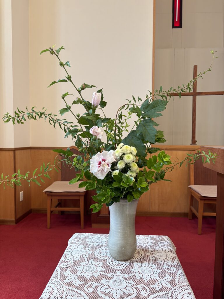 6.28⑤