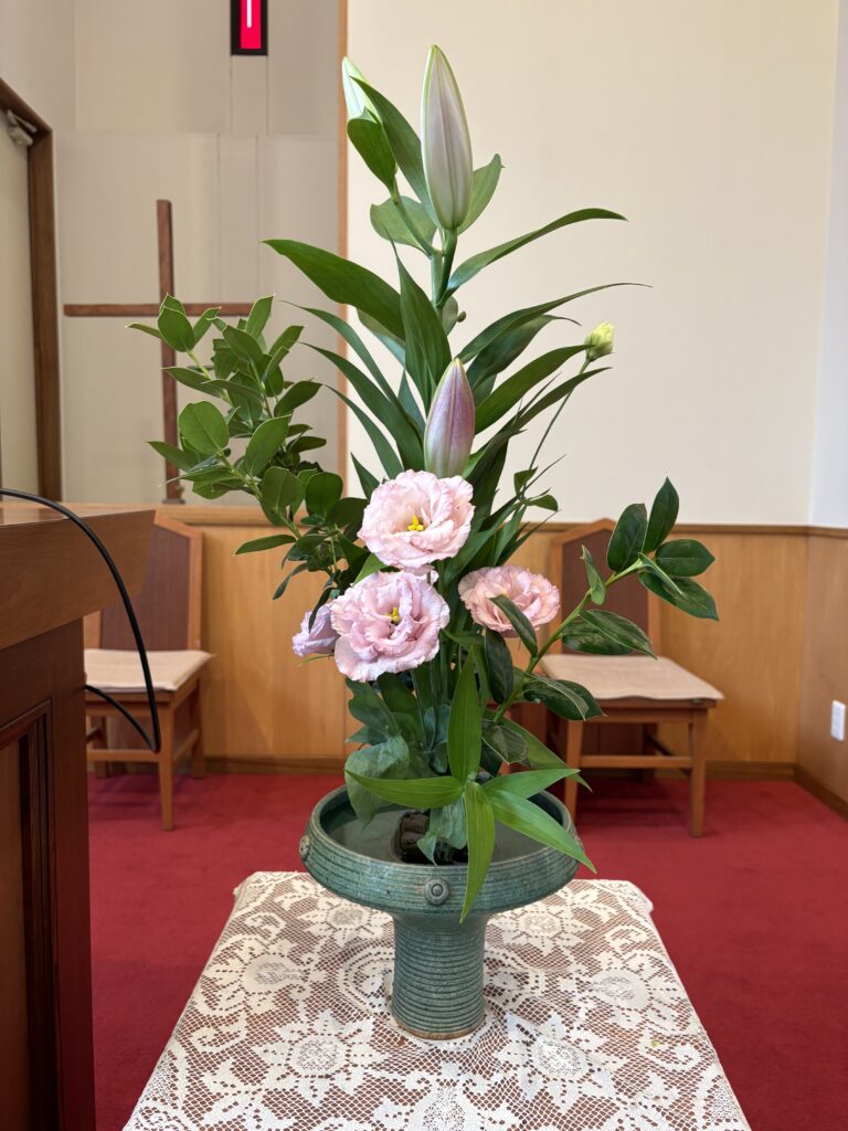8.16②